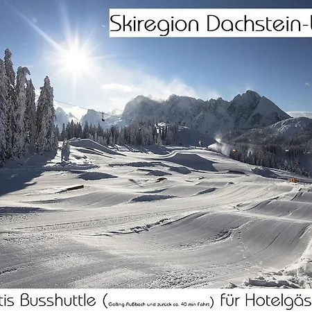 酒店 Adler I Haus-innenhof 3*